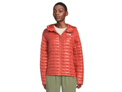 The North Face Thermobal Hooded Jacket In Orange