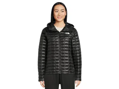 The North Face Thermoball Hooded Jacket In Black