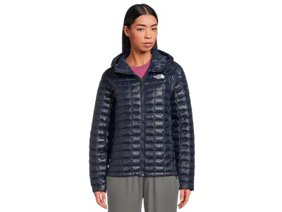 The North Face Thermoball Hooded Jacket In Blue