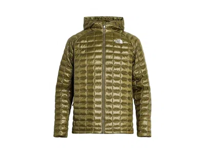 The North Face Thermoball Hooded Jacket (little Kid/big Kid) Kid's Coat Caraway Seed: 2xl (18-20 Big Kid), Polyeste In Green
