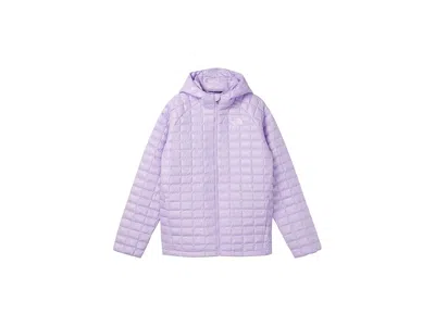 The North Face Thermoball Hooded Jacket (little Kid/big Kid) Kid's Coat Lite Lilac : Md (10 Big Kid), Polyester In Purple