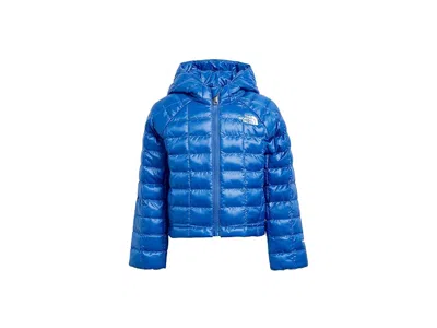 The North Face Kids' Thermoball Hooded Jacket (toddler) Boy's Coat Active Blue: 6 Toddler In Black