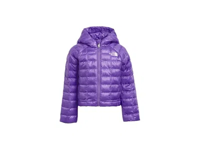 The North Face Kids' Thermoball Hooded Jacket (toddler) Boy's Coat Elevation Purple: 4t Toddler