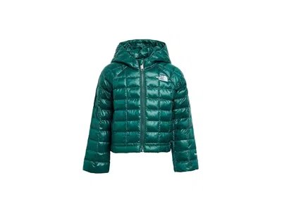 The North Face Kids' Thermoball Hooded Jacket (toddler) Boy's Coat Pacific Teal: 6 Toddler In Blue