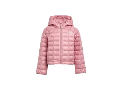 The North Face Kids' Thermoball Hooded Jacket (toddler) Boy's Coat Primrose: 3t Toddler In Multi