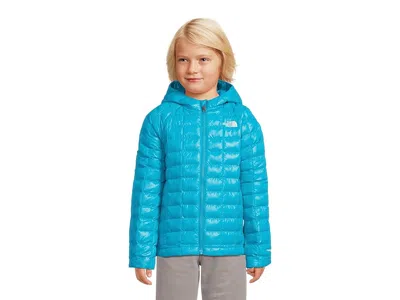 The North Face Thermoball Hooded Jacket (toddler) Kid's Coat Meridian Blue : 6 Toddler, Polyester
