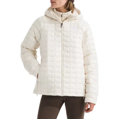 The North Face Thermoball Hooded Jacket In White