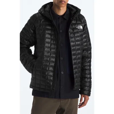 The North Face Thermoball Quilted Hooded Jacket In Black