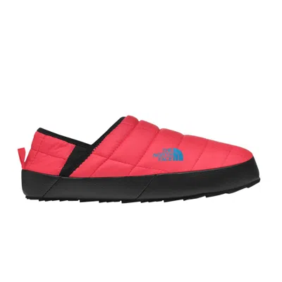 Pre-owned The North Face Thermoball Traction Mule 5 'brilliant Coral' | Orange | Men's Size 9