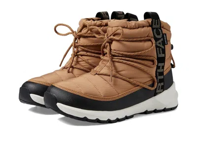 The North Face Thermoballtm Lace Up Wp In Brown