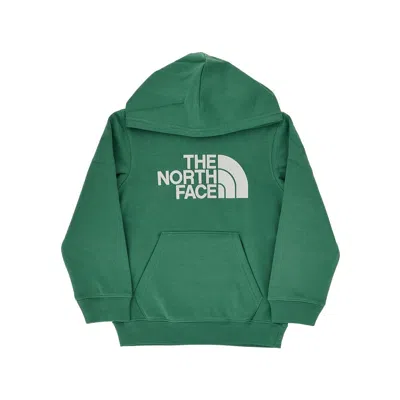 The North Face Tnf Essential Hoodie - Kids In Green