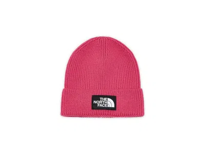 The North Face Tnf Logo Box Cuffed Beanie Caps Lali Guran, Polyester In Pink