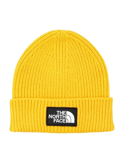 The North Face Tnf Logo Box Cuffed Beanie In Summit Gold