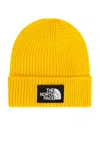 THE NORTH FACE TNF LOGO BOX CUFFED BEANIE