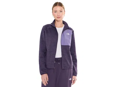 The North Face Tnftm Performance Fleece Full Zip Jacket Women's Coat Endless Dusk/dark Heather/grounded Plum: Xl, E In Purple