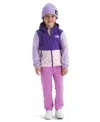 The North Face Toddler And Little Girls Glacier Full Zip Hoodie In Purple