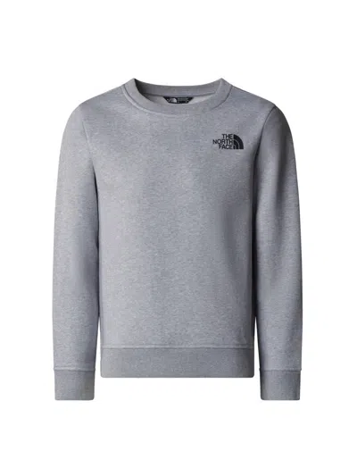 The North Face Unisex Crew Logo T-shirt For Kids In Multi