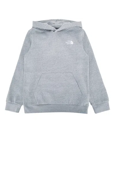 The North Face Unisex Evolution Pullover Hoodie Sweatshirt In Cqo1