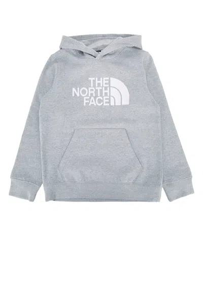 The North Face Unisex Teen Essential Hoodie In Cqo1