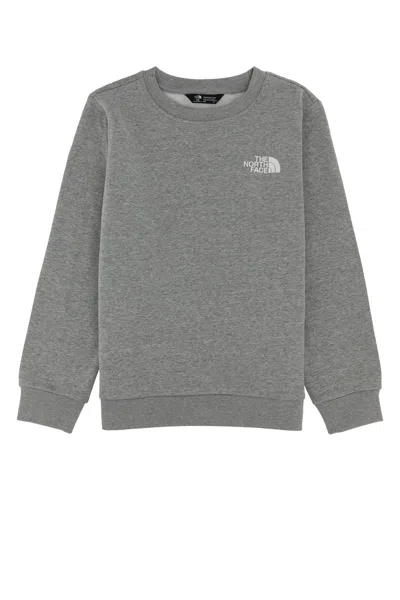 The North Face Unisex Teen Evo Box Crew Sweatshirt In Gray