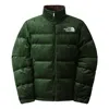 The North Face Versa Velour Nuptse Jacket 'green'