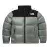 The North Face Fw22 Novelty Nuptse Down Jacket In Green