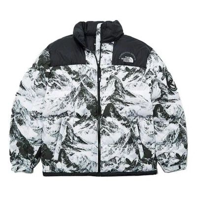 The North Face Winter Custom Printed Jacket 'white' In Gray
