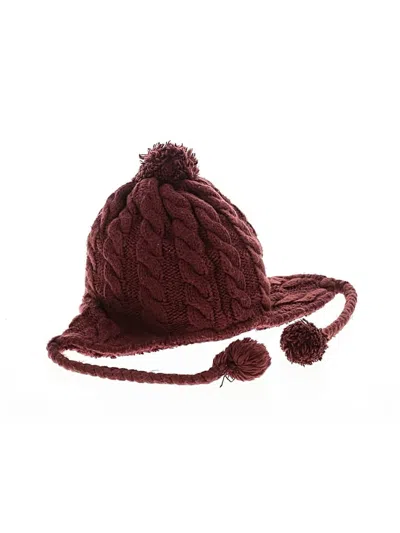 Pre-owned The North Face Winter Hat In Burgundy