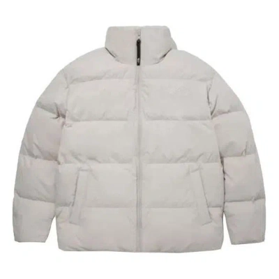The North Face Winter Jacket 'white' In Gray