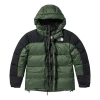 The North Face Winter Puffer Jacket 'olivegreen' In Green