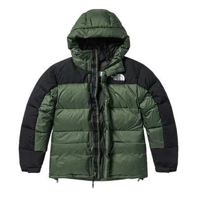 The North Face Winter Puffer Jacket 'olivegreen'