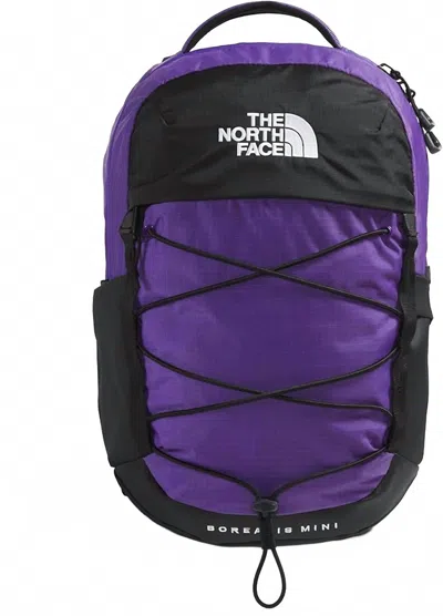 The North Face Women's Borealis Mini Backpack In Peak Purple In Multi