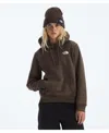 The North Face Women's Evolution Box Nse Hoodie In Brown