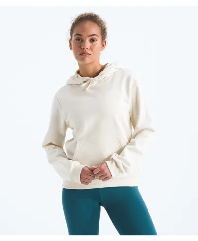 The North Face Evolution Box Nse Hoodie In Neutral