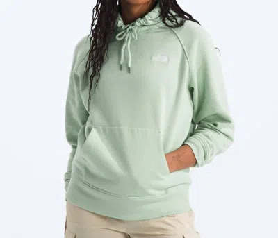 The North Face Women's Evolution Hoodie In Misty Sage In Multi