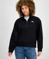 The North Face Evolution Quarter Zip Pullover In Black