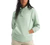 The North Face Women's Evolution Relaxed-fit Hoodie In Misty Sage