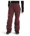 The North Face Women's Freedom Insulated Pants In Burgundy