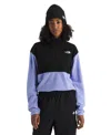 The North Face Glacier Polar Fleece Pullover In Black