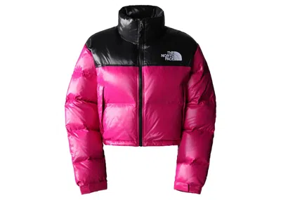 Pre-owned The North Face Women's Nuptse Short Jacket In Fuchsia Pink