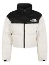 The North Face Nuptse Water Repellent 700 Fill Power Down Short Puffer Jacket In Multi