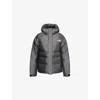 The North Face Himalayan Jacket In Moonstone Grey
