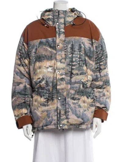 Pre-owned The North Face X Gucci 2021 Printed Down Coat In Blue
