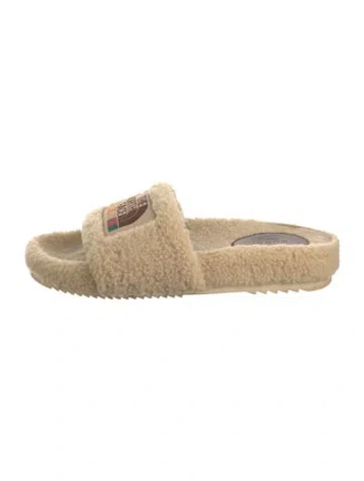 Pre-owned The North Face X Gucci 2022 Shearling Slides In Neutral