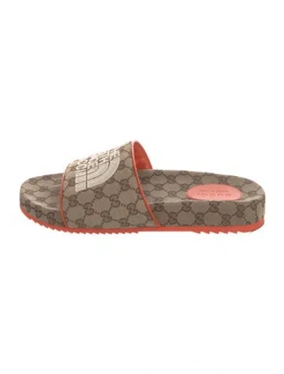 Pre-owned The North Face X Gucci Gg Canvas Canvas Slides In Neutral