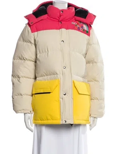 Pre-owned The North Face X Gucci Nylon Colorblock Pattern Down Jacket In Neutral