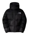 The North Face Solid Color Padded Jacket With Embroidered Logo In Black