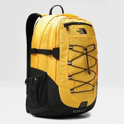 The North Face In Yellow
