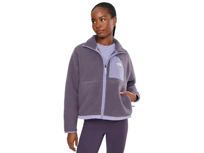 The North Face Yumiori Peak Full Zip Jacket Women's Coat Endless Dusk/grounded Plum: Md, Polyester In Purple