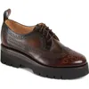 The Office Of Angela Scott Miss Lucy Wingtip Platform Derby In Brown Multidnu